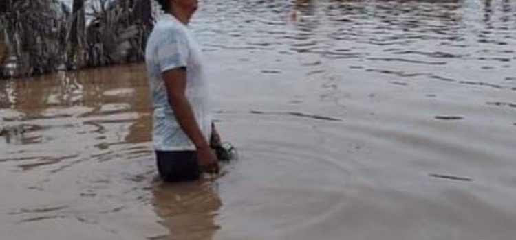 Biblioteca de Guaymas se encuentra bajo el agua