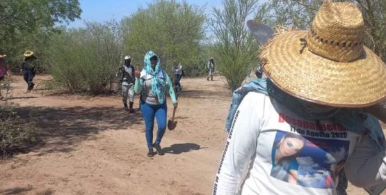 Inicia mega búsqueda de desaparecidos en la región de Guaymas – Empalme