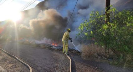 Incendios forestales se ‘disparan’ en Guaymas