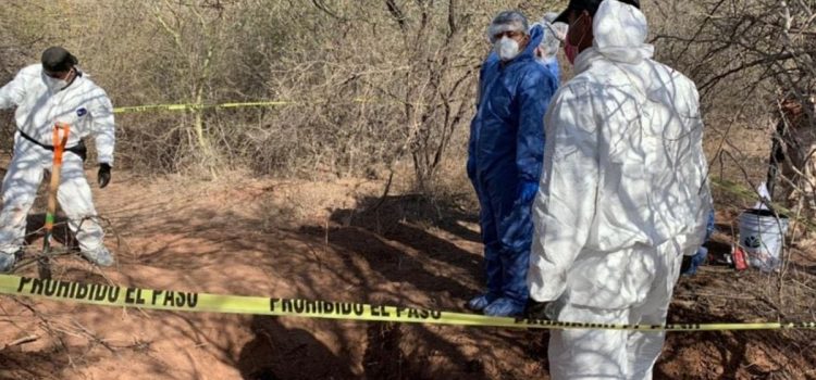 Localizan fosa clandestina con al menos dos cadáveres en el Valle de Guaymas