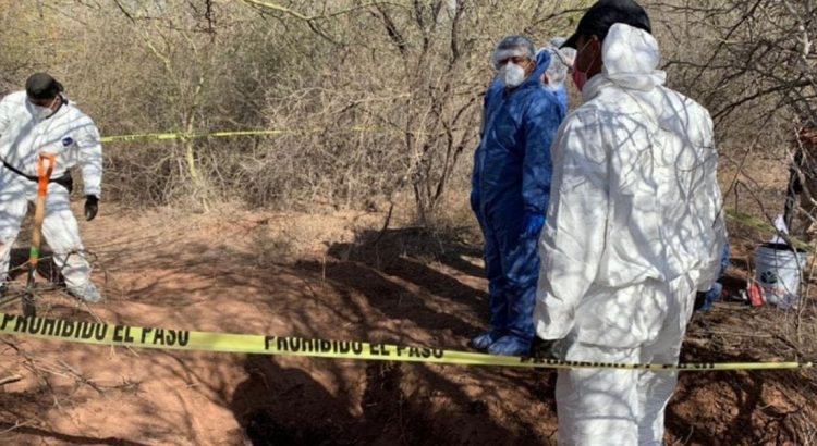 Localizan fosa clandestina con al menos dos cadáveres en el Valle de Guaymas