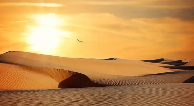 Desierto de Altar, el lugar más caluroso del mundo
