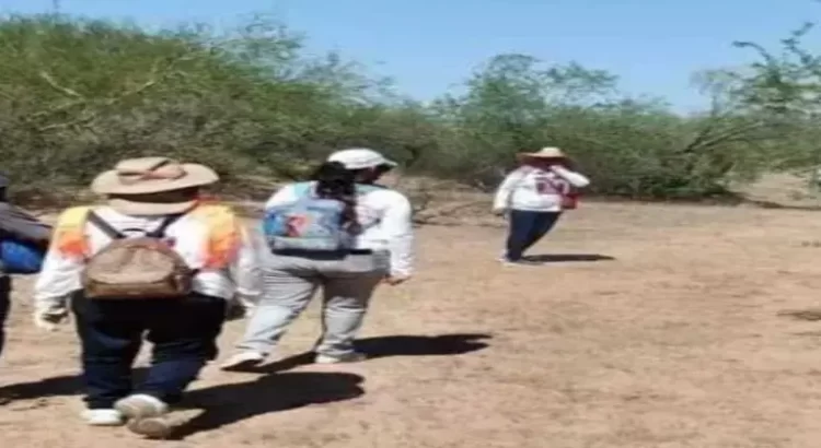 Madres Buscadoras de Sonora son recibidas a balazos al llegar a un punto de búsqueda en la salida Hermosillo – Guaymas