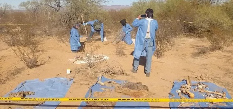 Madres buscadoras encuentran fosa con al menos 18 cuerpos en Sonora