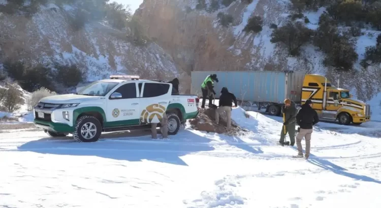 Cancelan clases y cierran carreteras por nevadas en Sonora