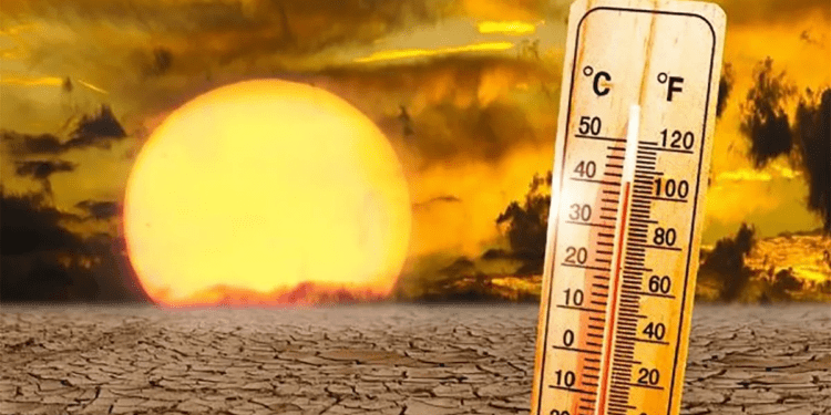 2024 será el año más caluroso de la historia, pronostica la ONU