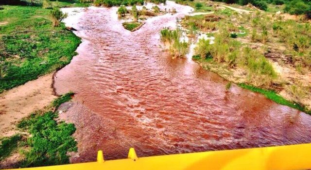 A casi diez años del derrame en Río Sonora, autoridades siguen sin cumplir: CCRS