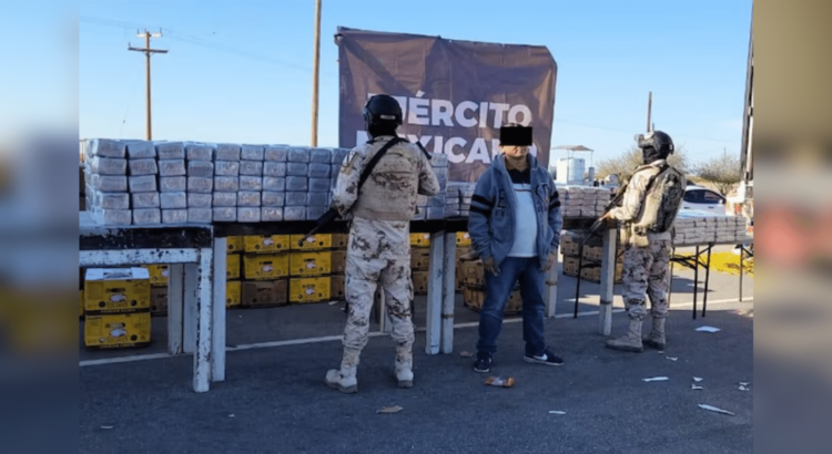 Ejército asegura casi una tonelada de cocaína en Sonora