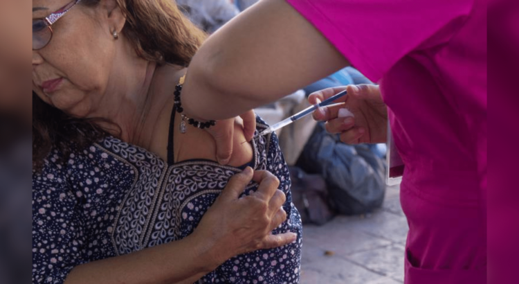 Casi medio millón de dosis para vacunación contra enfermedades respiratorias en Sonora