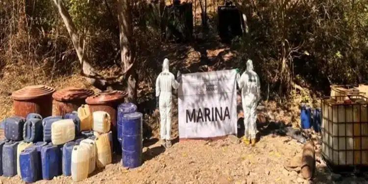 Fuerzas federales desmantelan 7 narcolaboratorios en Sinaloa