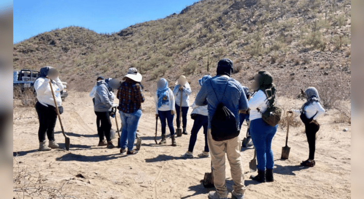 Ocho de 10 desaparecidos en Sonora son localizados; salen por su decisión