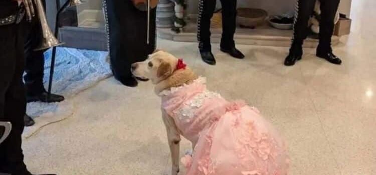 La quinceañera más bonita La quinceañera más bonita