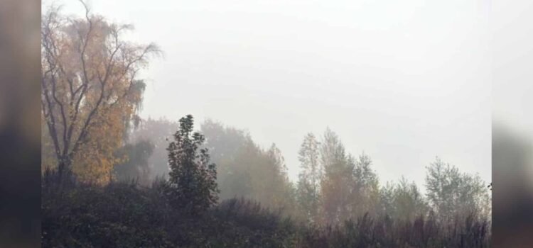 Estos municipios podrían registrar hasta -12ºC este fin de semana