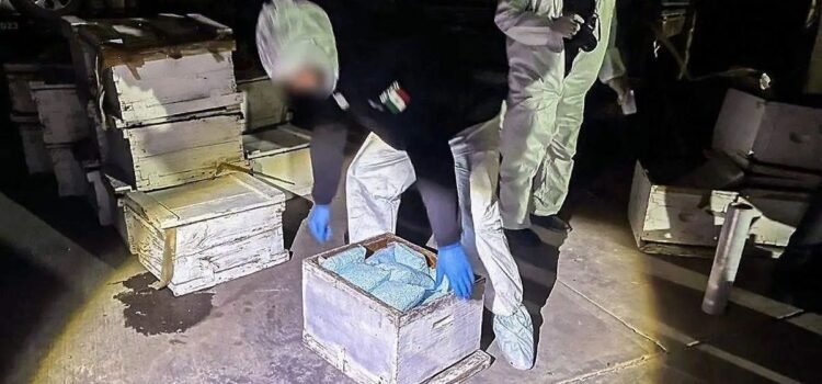 Decomisan camión de pasajeros en Sonora que transportaba fentanilo