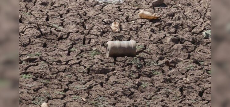 Situación de sequía en municipios de Sonora: Reporte actualizado