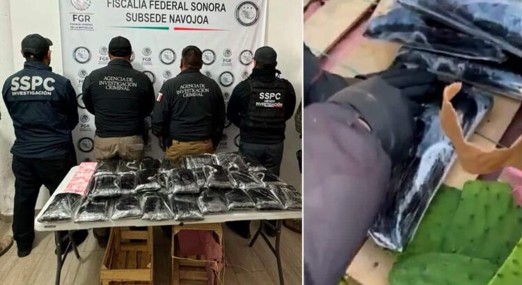 Aseguran fentanilo oculto en cajas de nopales al sur de Sonora