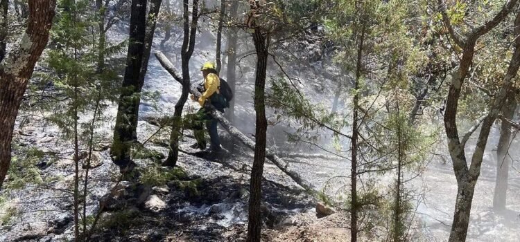 Continuan activos tres incendios forestales en Sonora