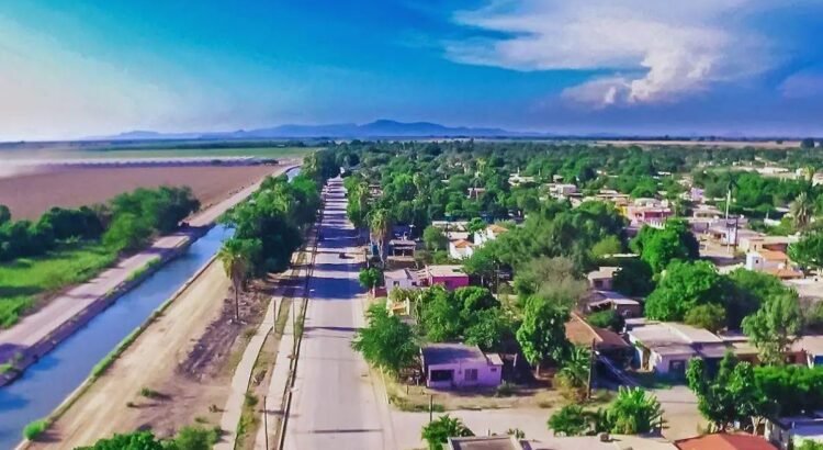 Restaurarán 12 sitios naturales en Sonora: conoce las áreas y el impacto ambiental