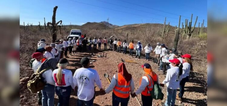 Colectivos encuentran 18 cuerpos en 5 días