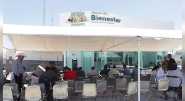 Secretaría del Bienestar alerta sobre fraudes a adultos mayores en Sonora