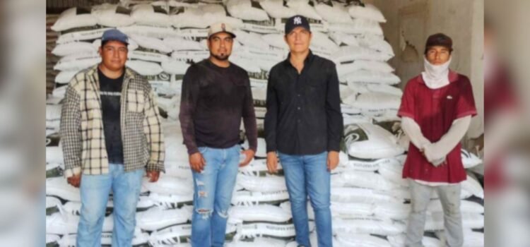 Programa ‘Fertilizantes para el Bienestar’ registra avance del 81% en Sonora