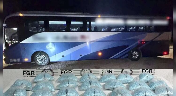 Detienen a dos personas en Sonora con cerca de 200 mil pastillas de fentanilo