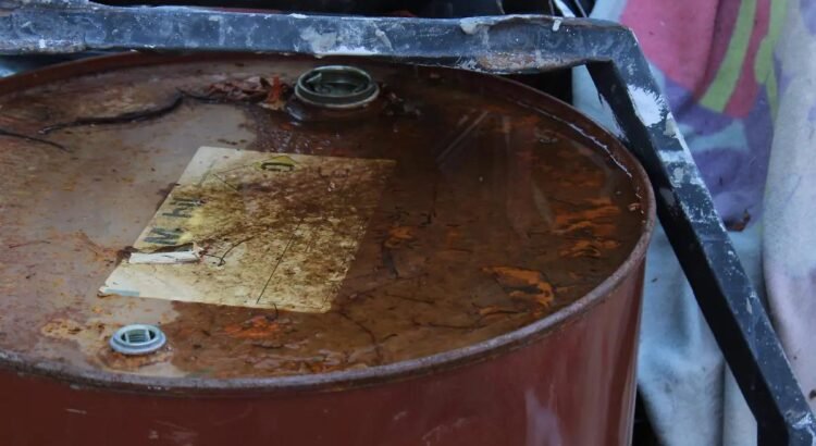 Casos de dengue en Sonora han presentado aumento del 973% con respecto a 2024