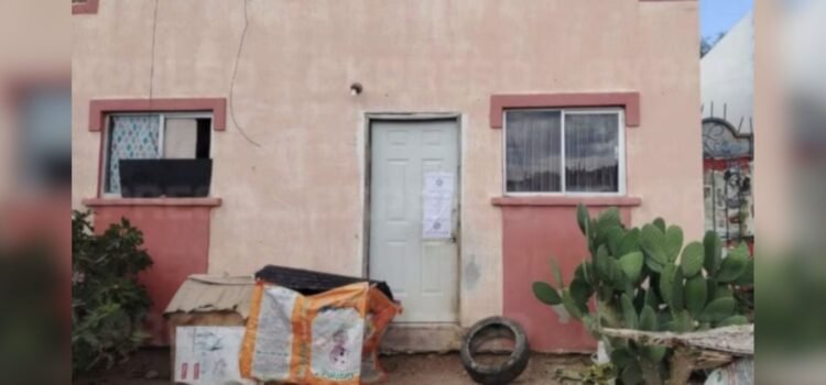 Rescatan 54 perritos en condición de maltrato en Sonora; hallan documentación de un sargento de la Policía Federal