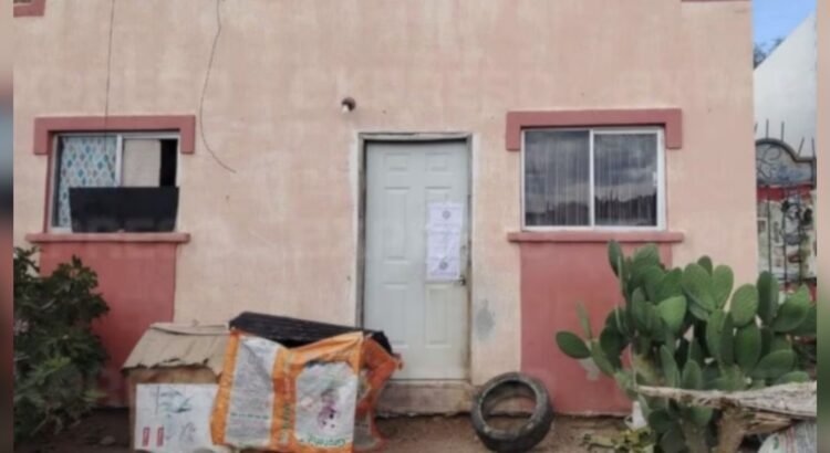 Rescatan 54 perritos en condición de maltrato en Sonora; hallan documentación de un sargento de la Policía Federal