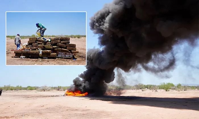 Incineran más de una tonelada de narcóticos en Sonora