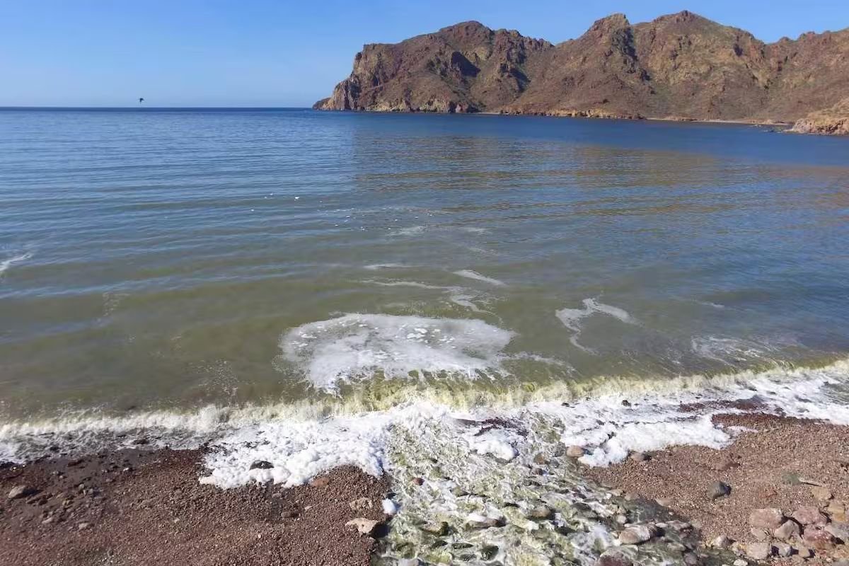 Empalme y Guaymas presentan marea creciente con niveles nunca vistos en 70 años
